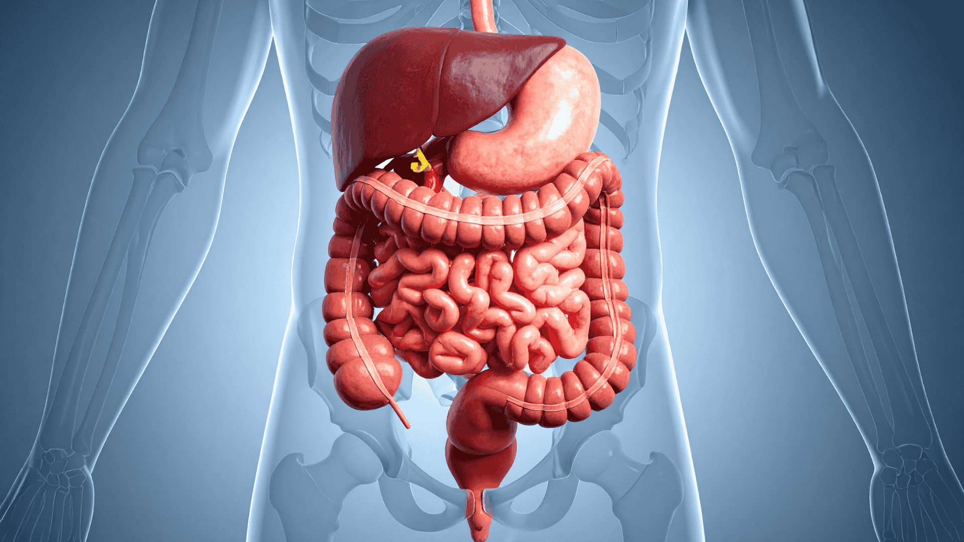 Gastroenterologia | Clínica Flavio Queiroz